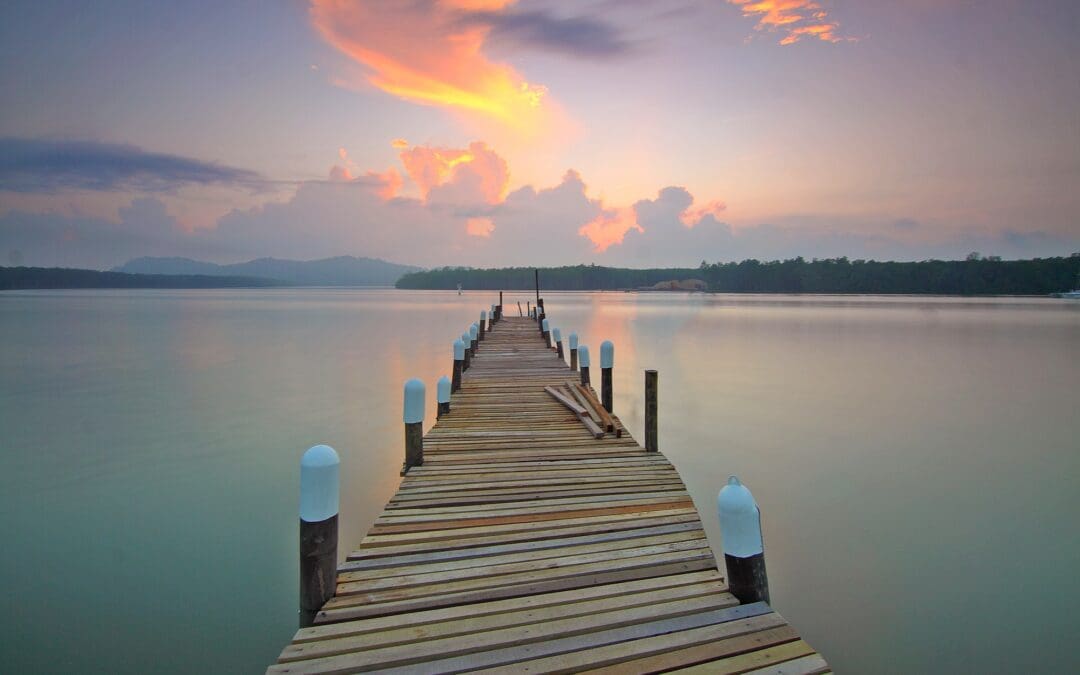 Signs That Your Dock or Seawall May Require an Inspection